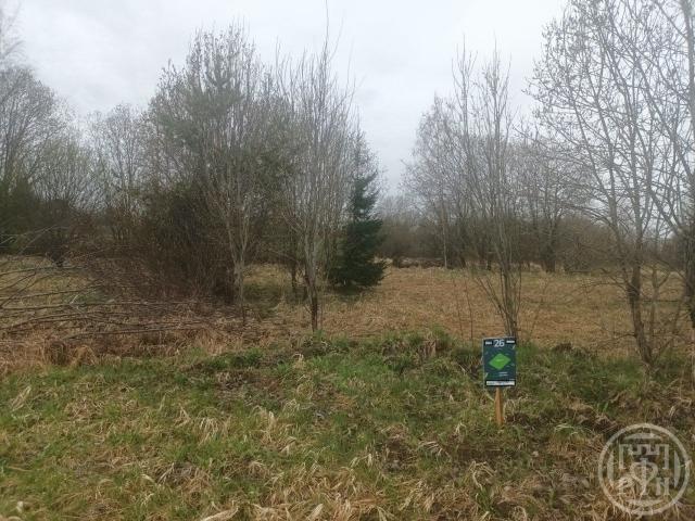 Кузнецы дер.