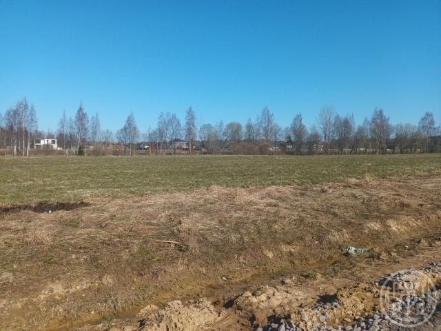 Ягодное пос.