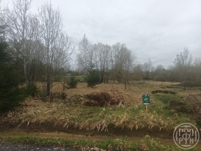 Кузнецы дер.