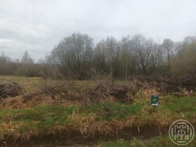 Кузнецы дер.