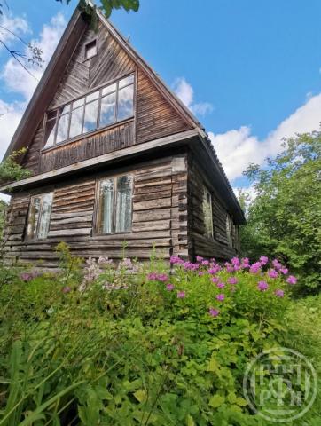 Дивенская массив, Невское снт