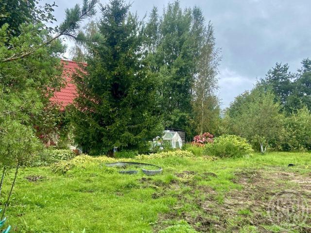 Мертуть массив, Заозерное снт.