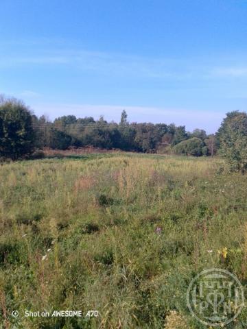 Заполье дер.