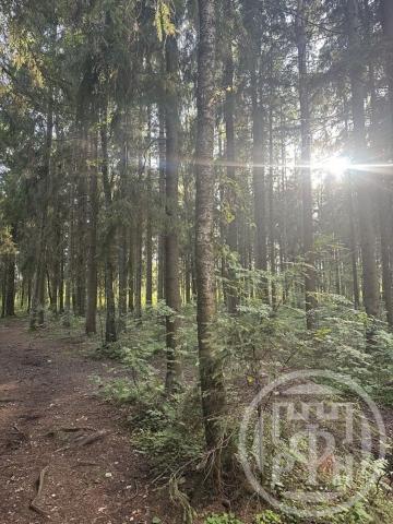 Кошкино дер., д 15г