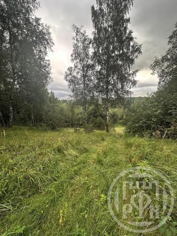 Старая Пустошь дер.