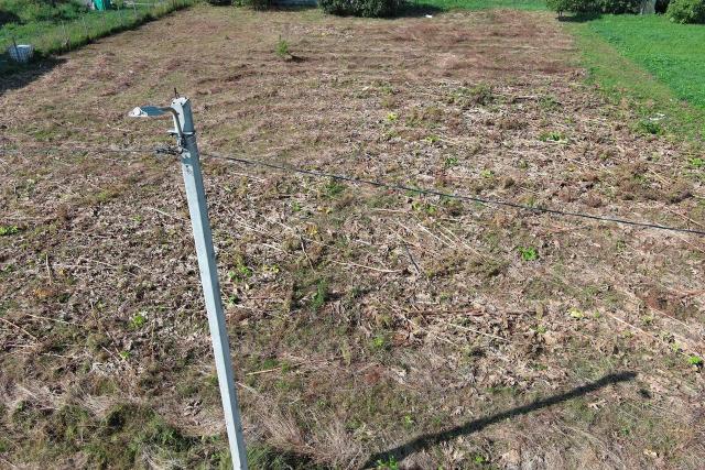 Ленинградская область, Рассколово дер.