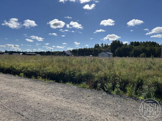 Матокса массив, Ранчо снт