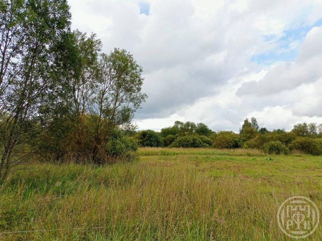 Путилово село, Дорофеева ул.