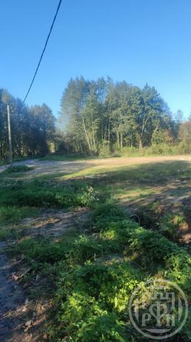 Матокса дер.