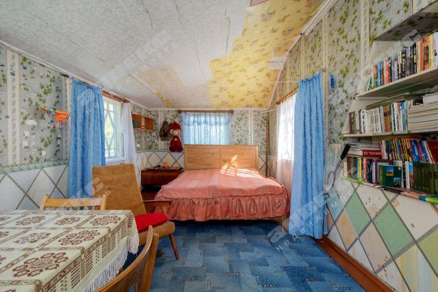 Ленинградская область, Грибное массив, Дружба СНТ, 61