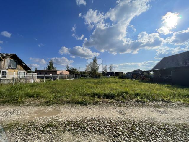 Сосновый Бор