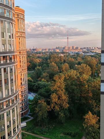 Коломяжский пр., 11к1