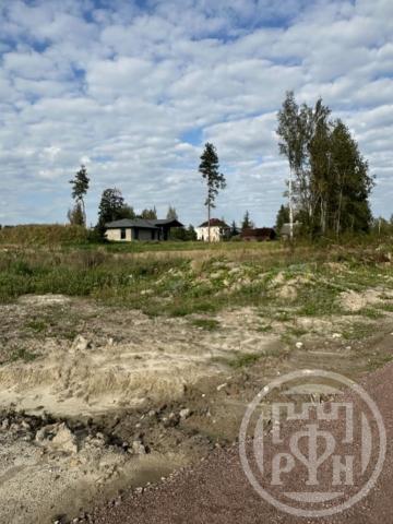 Старая Пустошь дер.