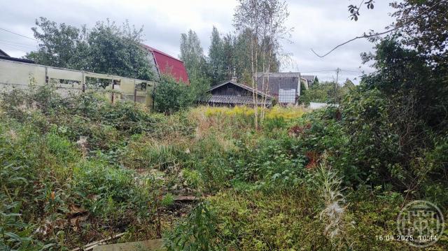 Флора снт, Высокая, д 303