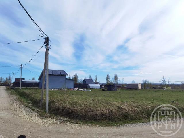 Порзолово днт