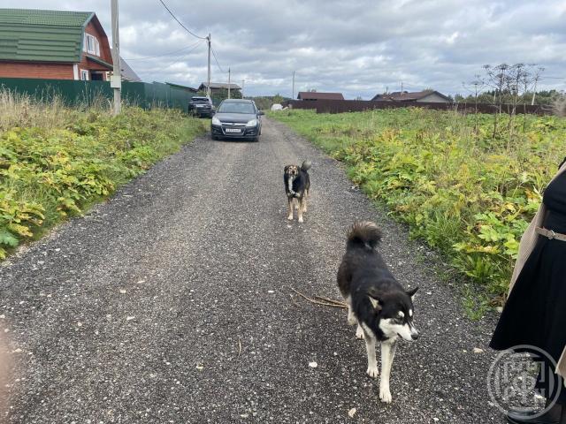 Заклинье пос., д 9