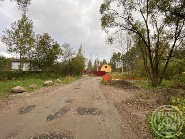 Фауна снт, 1-я Гостилицкая линия, д 54