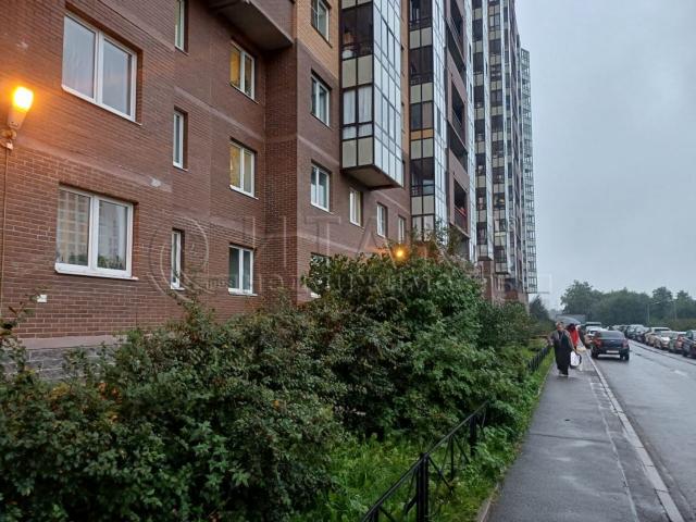 д. Новое Девяткино, ул. Арсенальная, 1