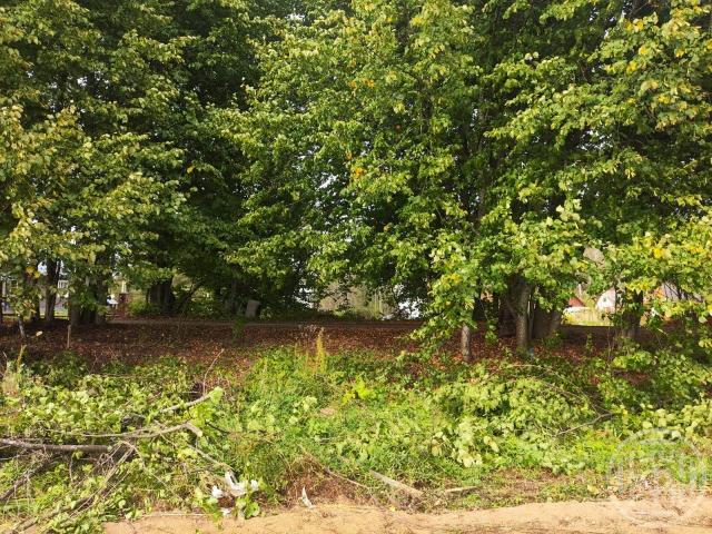 Калгановка дер.