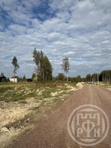 Старая Пустошь дер.