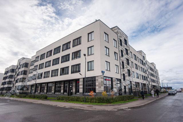 Ветеранов пр., 214