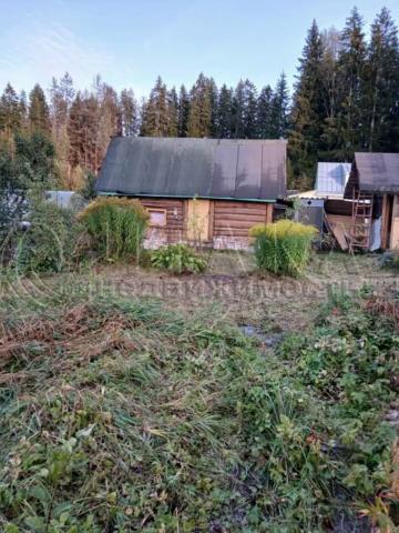 снт. Речное(п.Лебедевка)