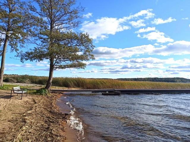 Ленинградская область, Соловьёвские Дачи ДНП