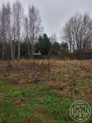 Таменгонт дер.