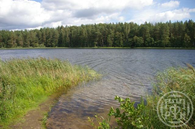 Калгановка дер.