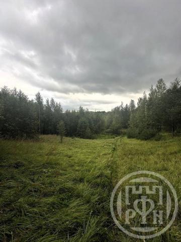 Старая Пустошь дер.