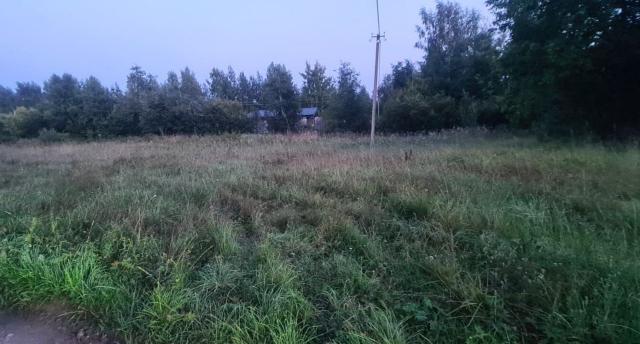 Ленинградская область, Нижняя Шальдиха дер., Староладожский канал ул.