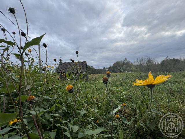 Ретюнь дер.