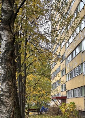 Композиторов улица, 33