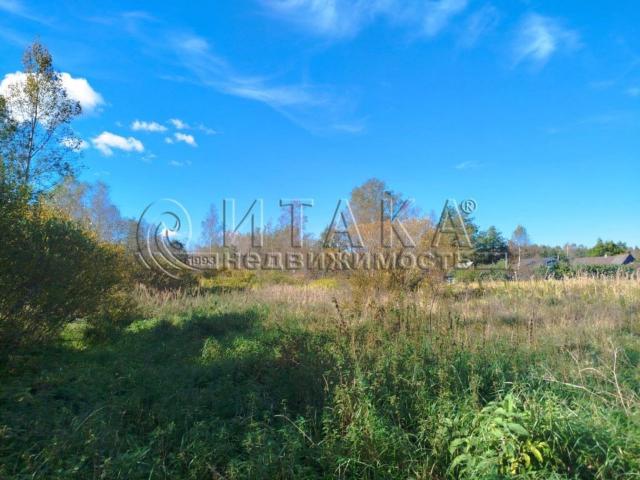 д. Долговка