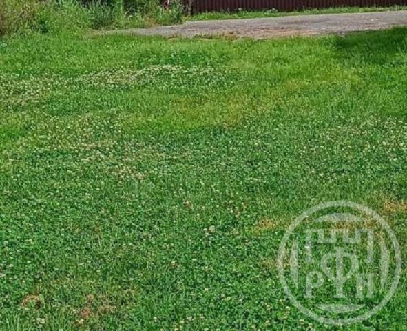 Заходское снт.