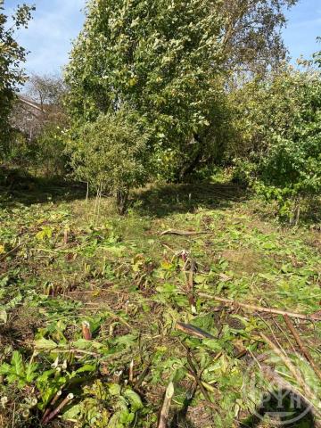 Пудомяги дер., Стародеревенская ул., д 17Б