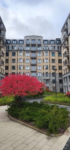 Карповки реки наб., 31к1