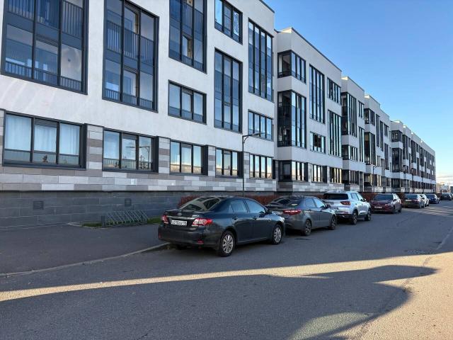 Ветеранов пр., 194