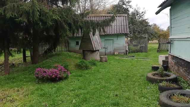 Ленинградская область, Шакицы дер., 27