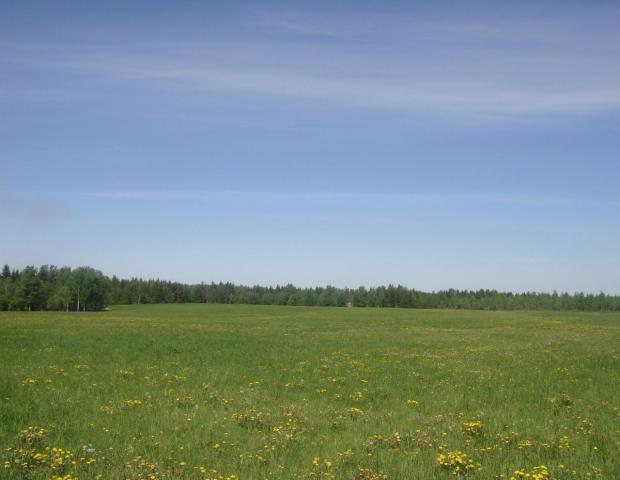 Ленинградская область, Толмачево пос.