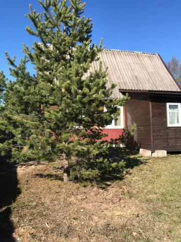 Ленинградская область, Звезда СНТ