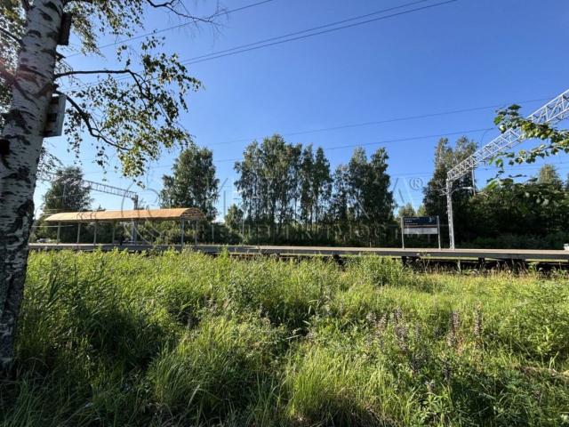 д. Борисова Грива