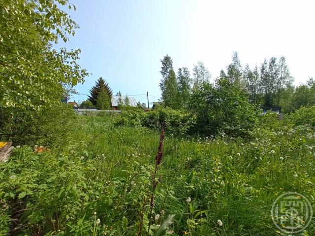 Сертолово г., Ягодка снт