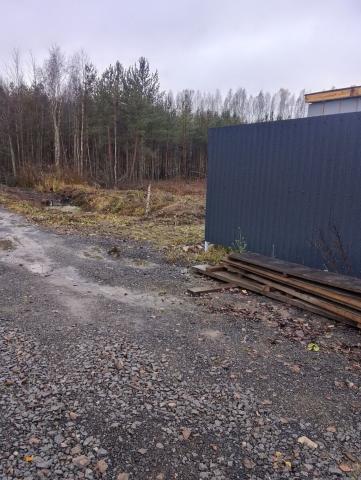 Ленинградская область, Ропшинское сельское поселение