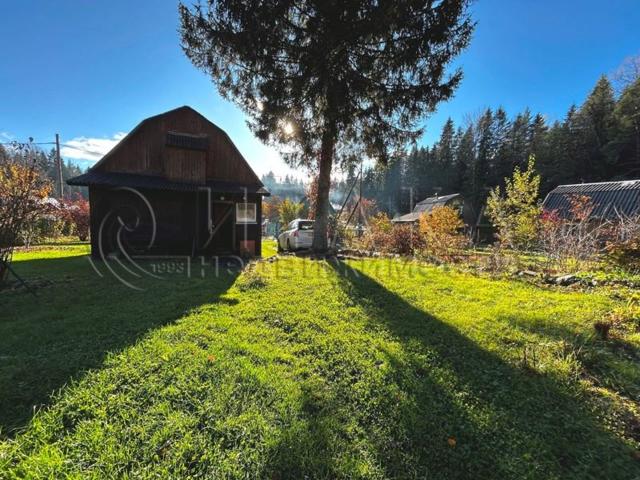 п. Пальцево