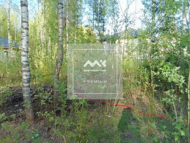 Всеволожск г., Новая ул., 12