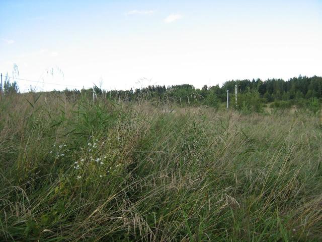 Ленинградская область, Гостилицкое сельское поселение