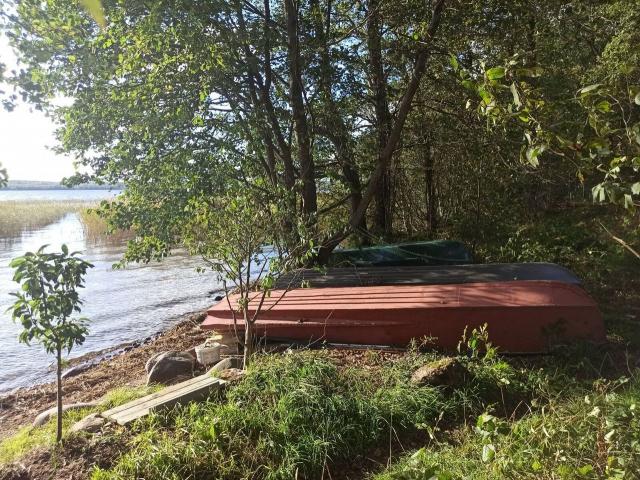 Ленинградская область, Соловьёвские Дачи ДНП