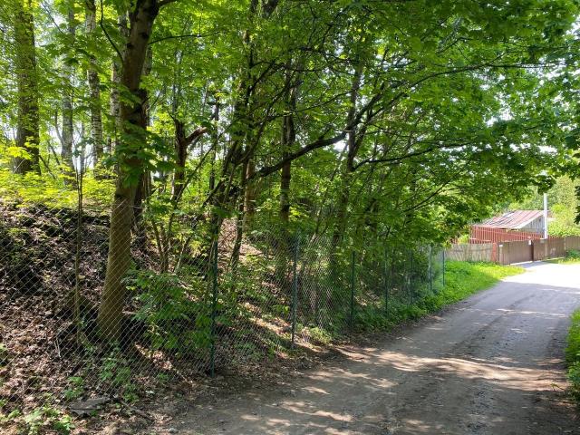 Ленинградская область, Токсово пос., Комендантская Гора ул.