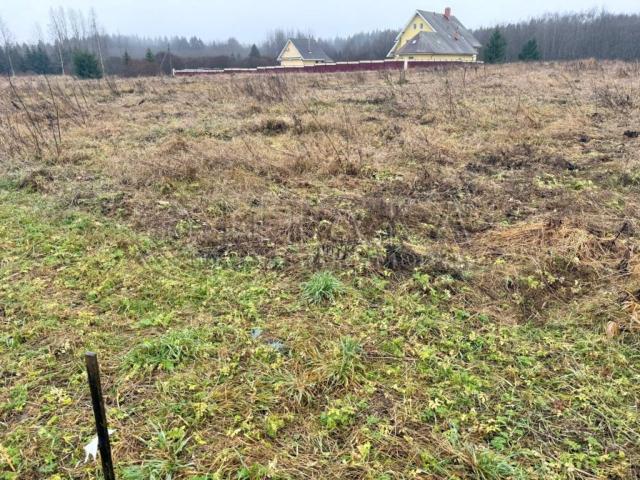 д. Озертицы